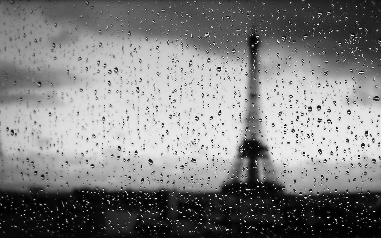 Bajo la lluvia - Página 24 Paris