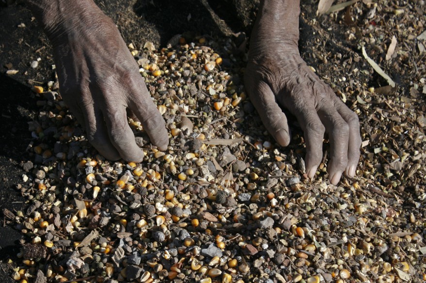 صورة وخبر .. حول العالم Reuters_pakistan_daily_life_11Dec11-878x585