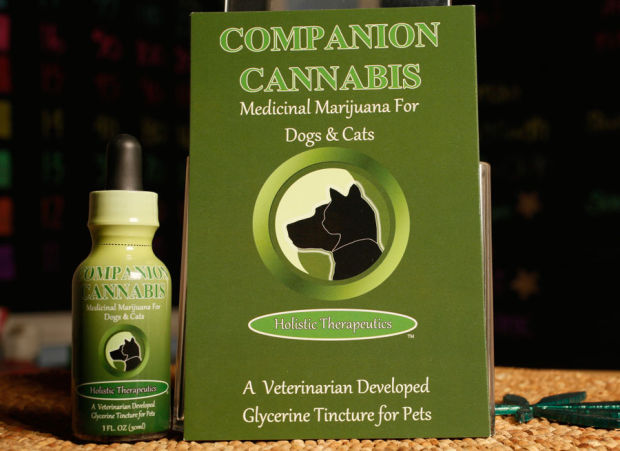 Pot For Pets: Vets Recommend Medical Marijuana For Animals In Pain 51b732e49ce87.preview-620