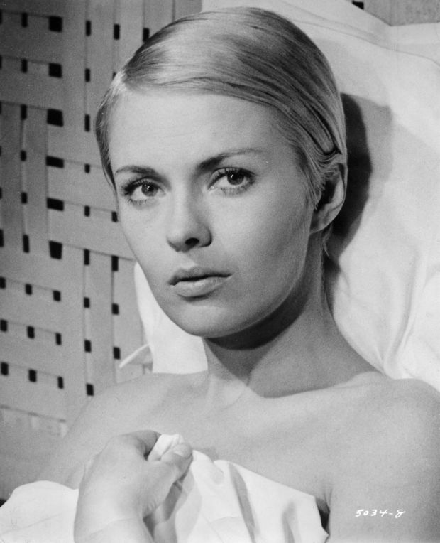 Dzin Siberg ( Jean Seberg ) 531903f7d2e16.preview-620