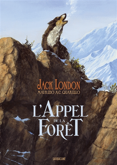 vos avis sur L'Appel de la forêt - Page 2 97828486579500-2705141