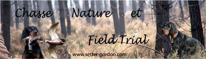 Chasse, Nature et Field Trial