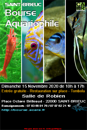 Bourse Saint-Brieuc ACARA (22) du 15/11/2020 Bourse_aquariophilie_2020
