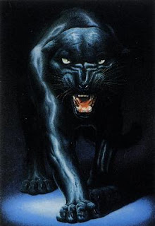 Pantoflaaaaaaaaaaaaaaaaaaaaaaaaaaaaaaaaaaaa Black-Panther--C10037738