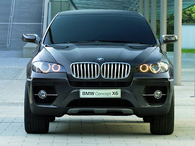 BMW X6 +     Bm1