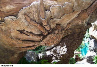 Amazing Tree Carving Pictures-Photos 3