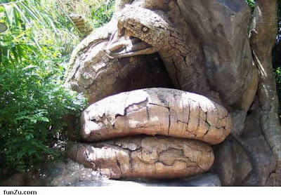 Amazing Tree Carving Pictures-Photos 2