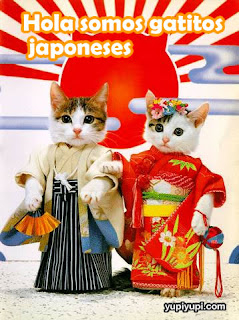 =//club  de  amantes  de  los  gatos//= Gatitos-japoneses