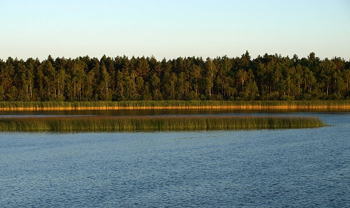 Idee: "Linnalapsed metsa"  Väinjärve veepidu + mõnus nädalavahetus Käärikul UUENDATUD 19.07 P7153411