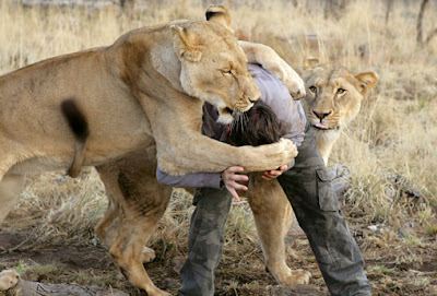 Kevin Richardson's Brave Friendship 11