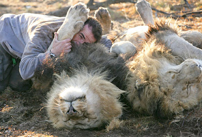 Kevin Richardson's Brave Friendship 5