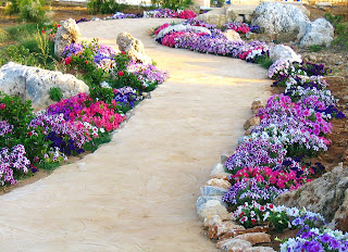 حال الدنيا ؟؟؟ Batroun_flowers