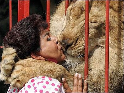 O que é o Beijo para si? LionKiss