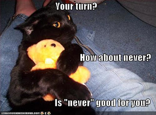 LoL cats Funny-pictures-cat-hugs-teddy-bear-jealously