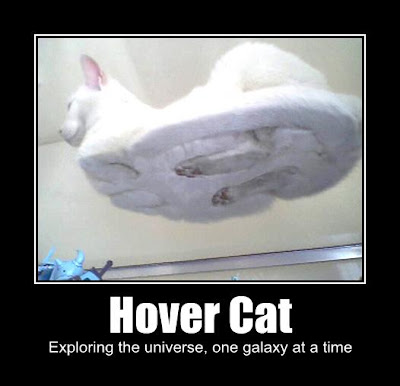 Imágenes absurdas e impactantes - Página 2 Hover-cat-exploring-the-universe-one-galaxy-at-a-time
