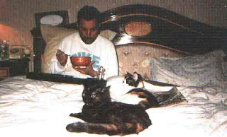 Freddie en su casa Garden lodge Cats_on_bed