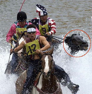 forcer des chevaux  se noyer Omak1-circle