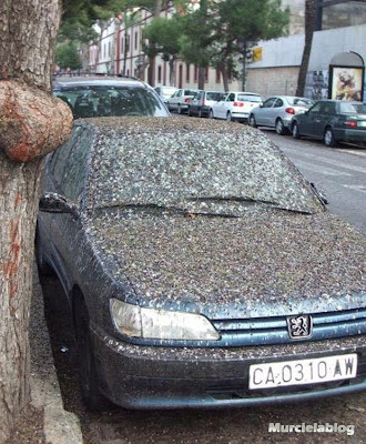 Acabo de ser diagnosticada con S.D.D.M. Carro-cagado