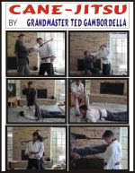 الأسلحه...تعلم استخدام اغلب الأسلحه جميل جدا Ted-cane