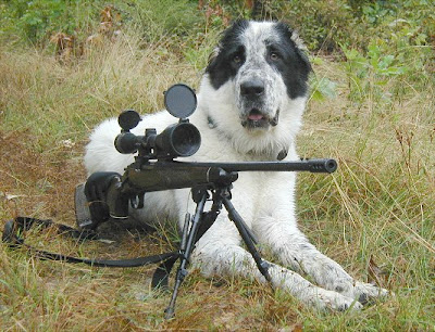 Confession thread.... - Page 2 Giant_dog_w_gun