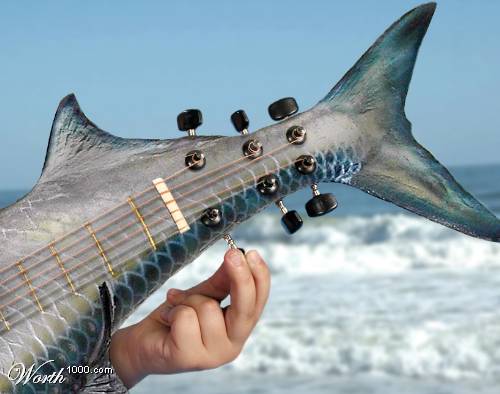 Guitar Tips Fishbassguitar