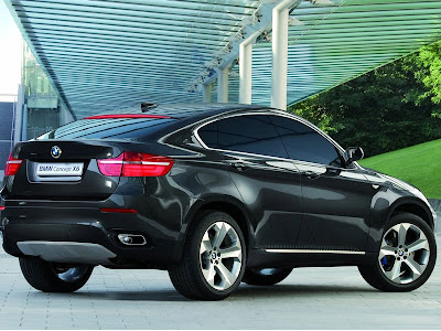 BMW X6 +     Bm3