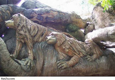 Amazing Tree Carving Pictures-Photos 6