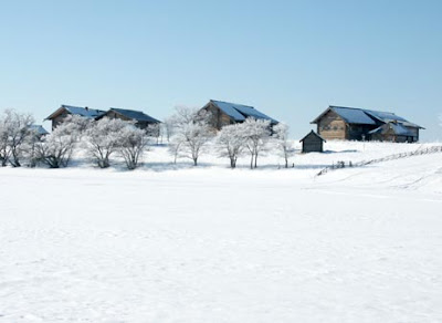     Kizhi_museum_41