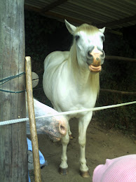 CONCOUR PHOTO...Grimace de chevaux ! - Page 2 PICT0715