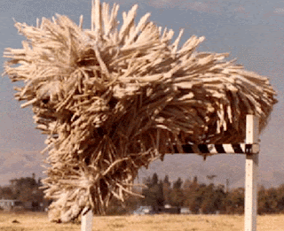 Animais Estranhos do Mundo...! Komondor_dog