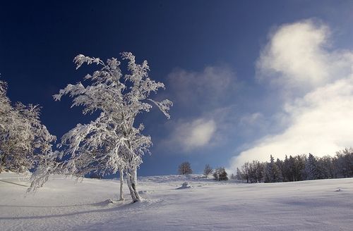 صور طبيعية جميلة للثلوج 1tpt5h32