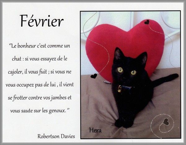 Petites citations diverses 19d0507d