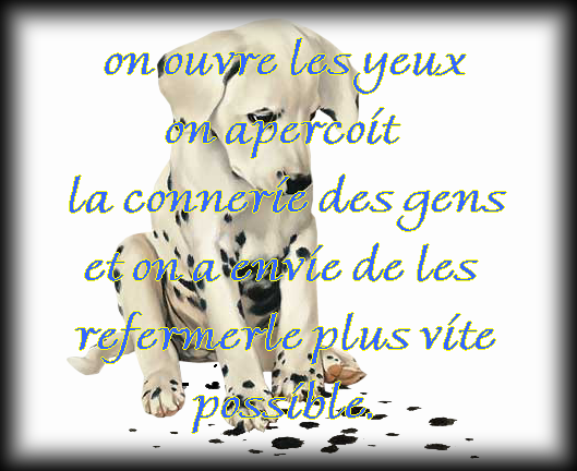 Petites citations diverses 45420f06