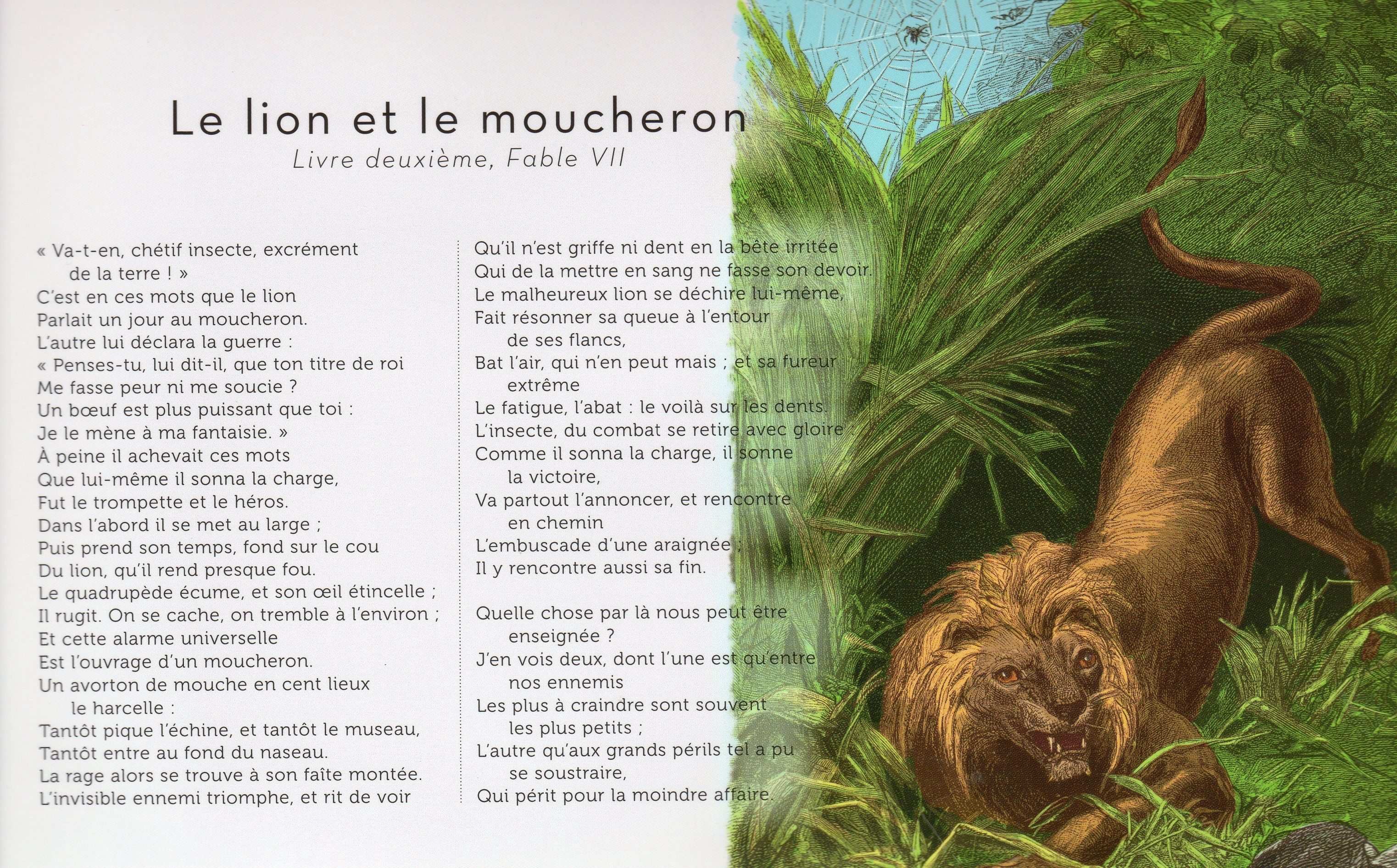lion - Le lion et le moucheron Jean De La Fontaine+Savoir vieillir 7c5421a0