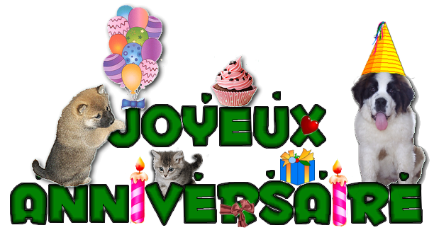 Anniversaires - Page 8 Anniversaire2