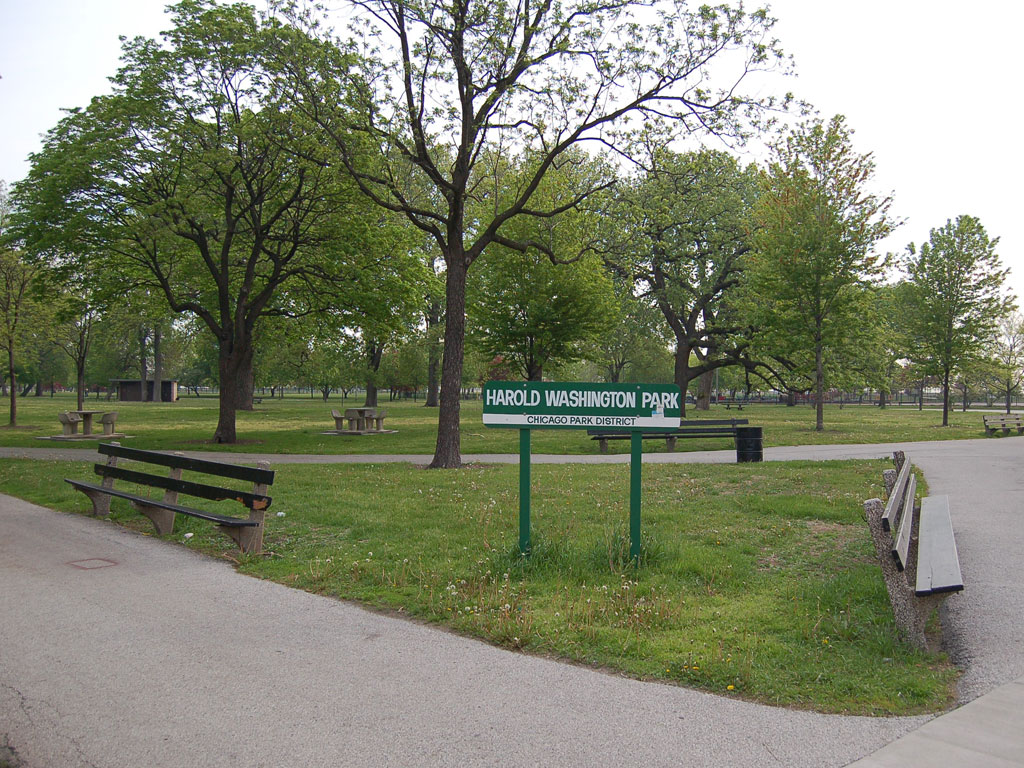 Harold Washington Park Chicago-parrots-1-hw-park-788632