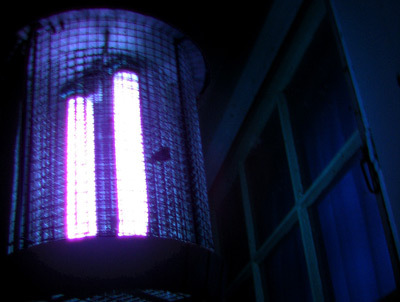 Feedback 2011 Bug_zapper