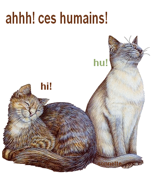 langage - Histoire de chats!!!La prolifération du chat,langage,prière 2e07d89d
