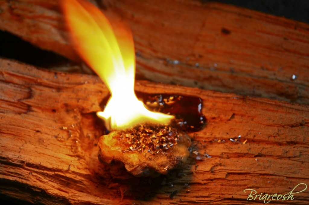 PRUEBA DE FUEGO DE LA RESINA DE ALMENDRO Vaamonde07-1024x682