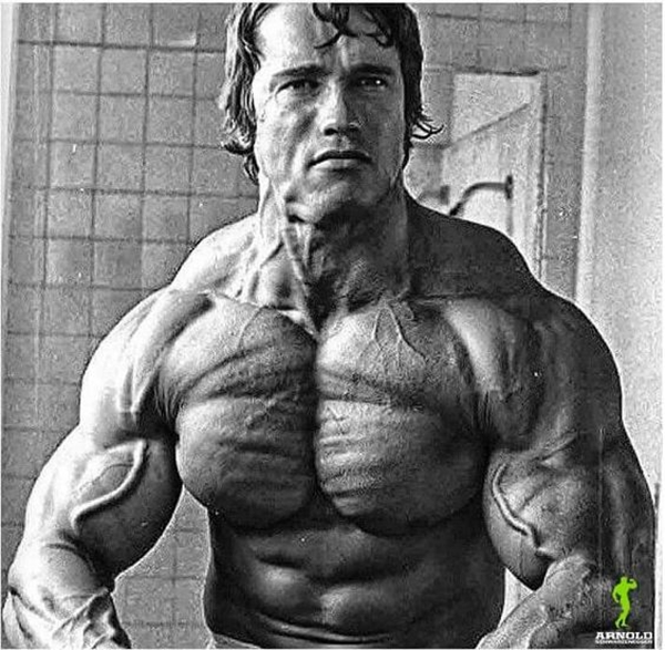 El fisicoculturismo - Página 2 Arnold-Schwarzenegger-Bodybuilding-Pictures-38