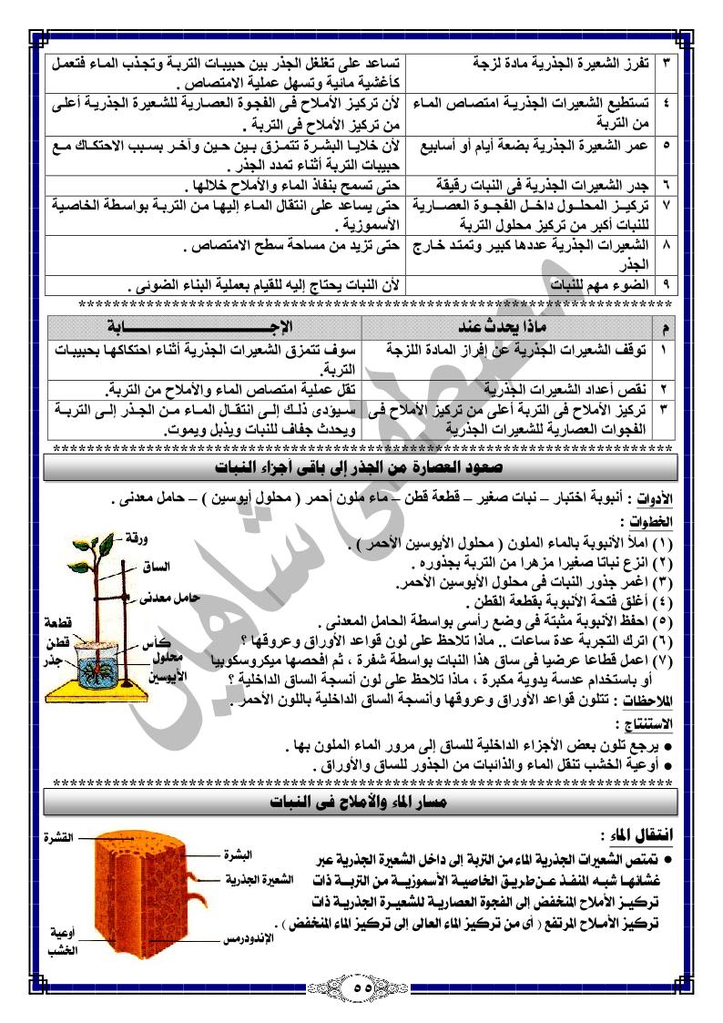 مذكرة الأستاذ مصطفى شاهين فى العلوم للصف السادس الابتدائى الترم الثانى 2017  P_395cmys69