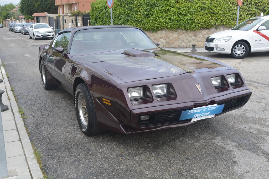 Pontiac Trans AM 1981 - Corrección de pintura en 2 pasos 29201107265_85f82b9100_b