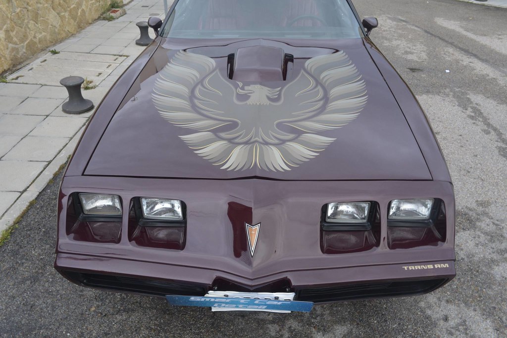 Pontiac Trans AM 1981 - Corrección de pintura en 2 pasos 29167276496_77079a7f4b_b