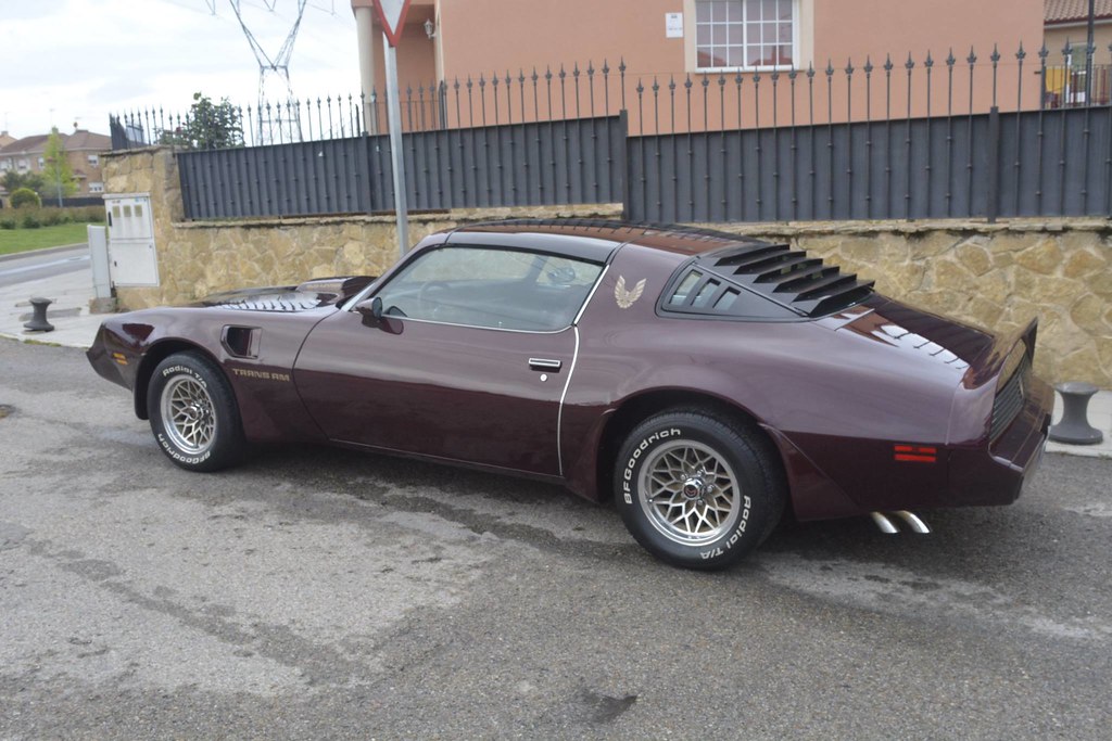 Pontiac Trans AM 1981 - Corrección de pintura en 2 pasos 28913274050_e18aba36af_b