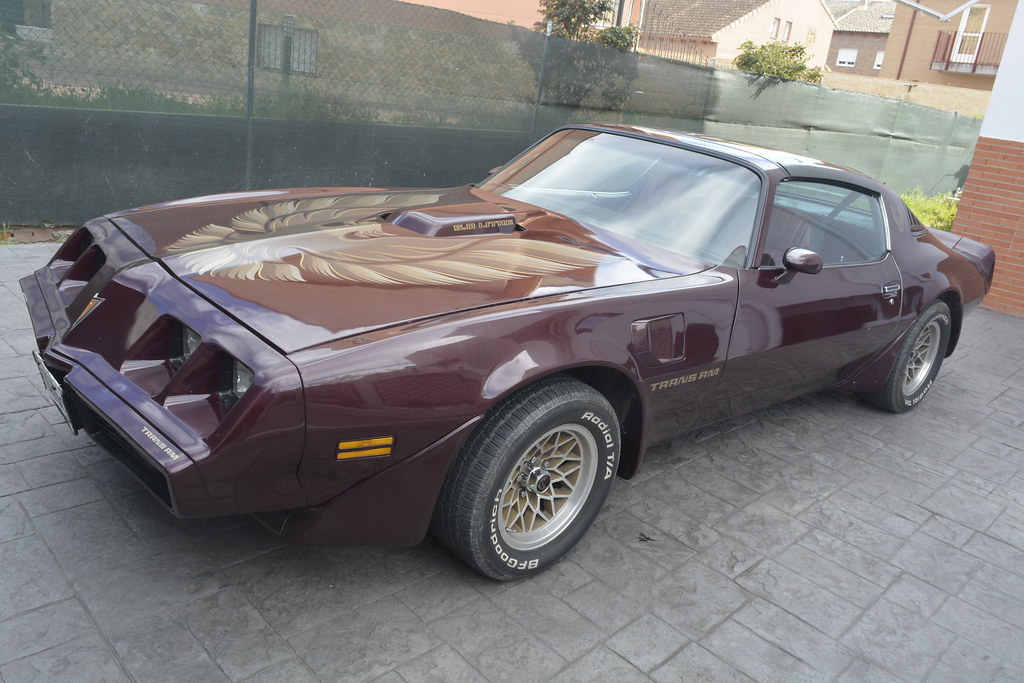 Pontiac Trans AM 1981 - Corrección de pintura en 2 pasos 28742740395_e1248dff08_b