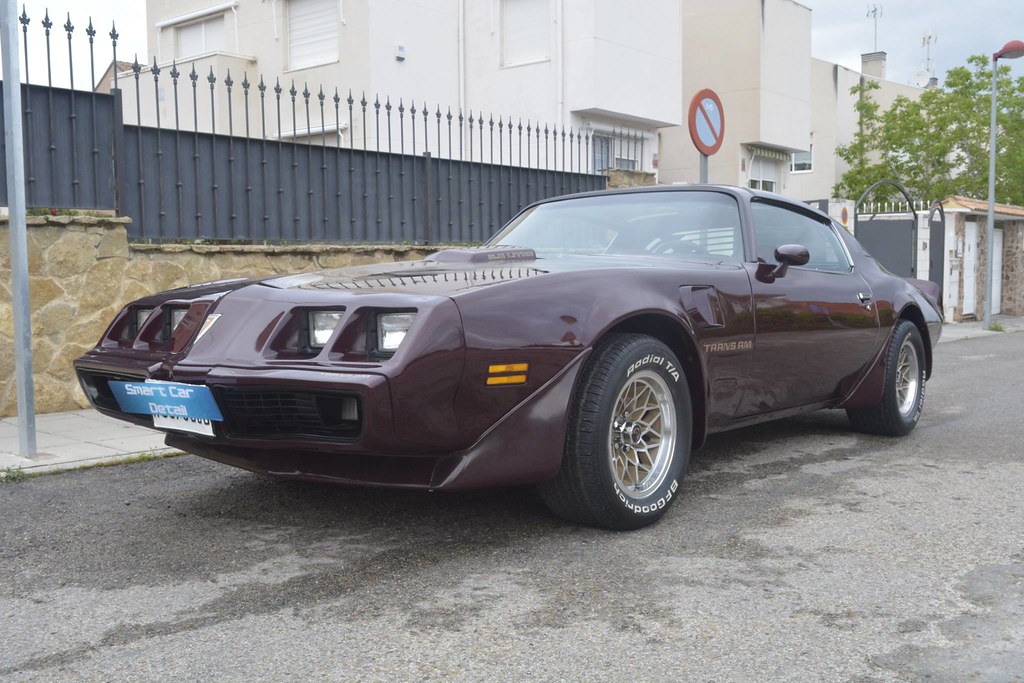 Pontiac Trans AM 1981 - Corrección de pintura en 2 pasos 28580994593_2384e2b324_b