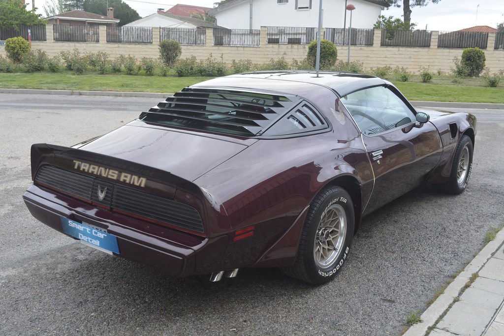 Pontiac Trans AM 1981 - Corrección de pintura en 2 pasos 29167277596_2df0528bd2_b