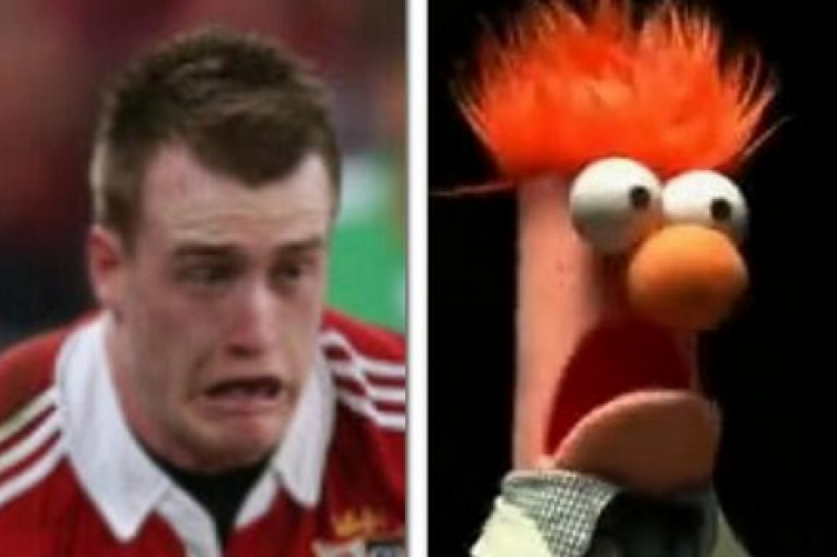 Lookalikes Hogg-beaker-752x501