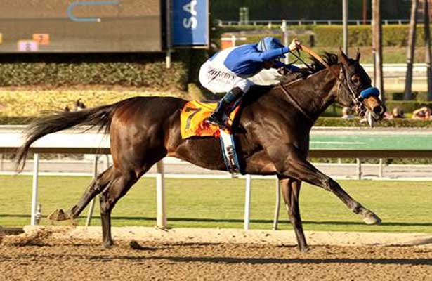 Eclipse Award 2013 PointsOffTheBench_SASprint2013_615x400_orig