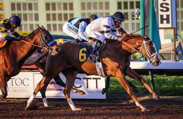 Route du Kentucky Derby/Kentucky oaks 2015 Take_Charge_Brandi_Starlet_2014_615x400_orig